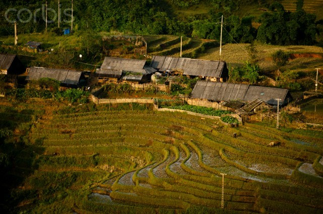 Khung cảnh thanh bình